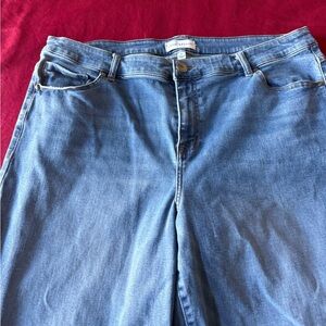 Lane Bryant Classic Blue Straight Leg Jeans